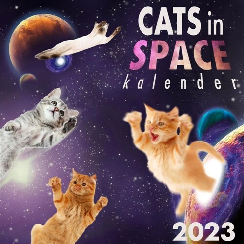 Cats in Space Kalender 2023 (Paperback)