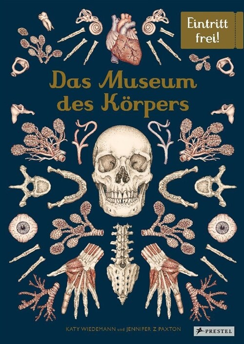Das Museum des Korpers (Hardcover)