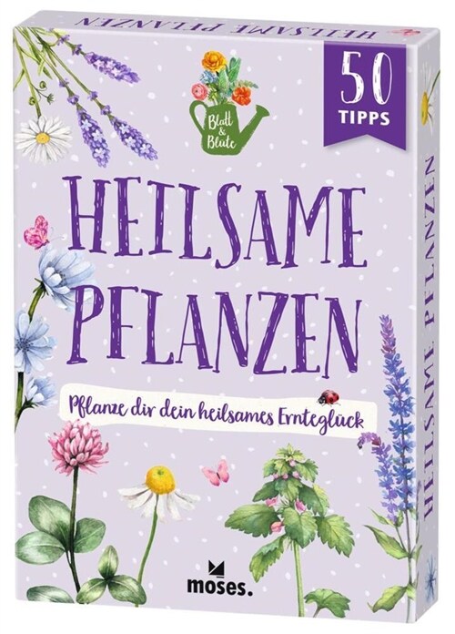 Blatt & Blute Heilsame Pflanzen (Book)