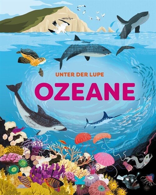 Unter der Lupe: Ozeane (Hardcover)