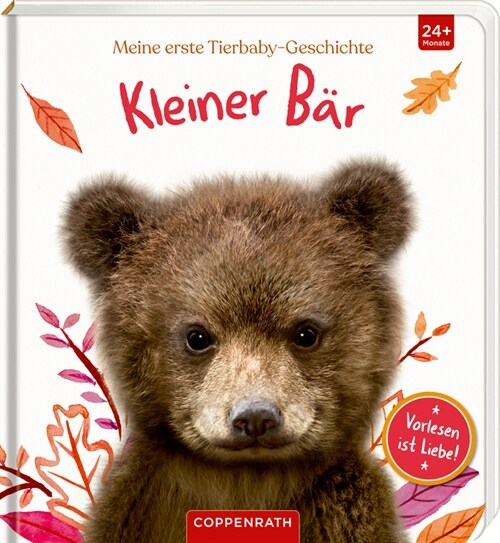 Meine erste Tierbaby-Geschichte: Kleiner Bar (Board Book)