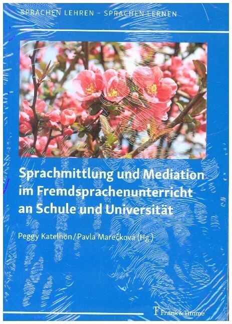 Sprachmittlung und Mediation im Fremdsprachenunterricht an Schule und Universitat (Paperback)
