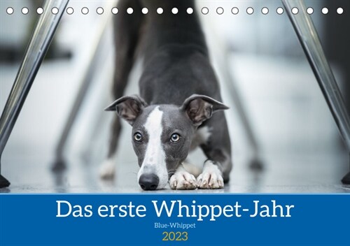 Das erste Whippet-Jahr (Tischkalender 2023 DIN A5 quer) (Calendar)