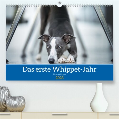 Das erste Whippet-Jahr (Premium, hochwertiger DIN A2 Wandkalender 2023, Kunstdruck in Hochglanz) (Calendar)