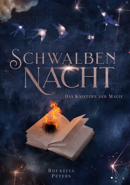 Schwalbennacht (Paperback)
