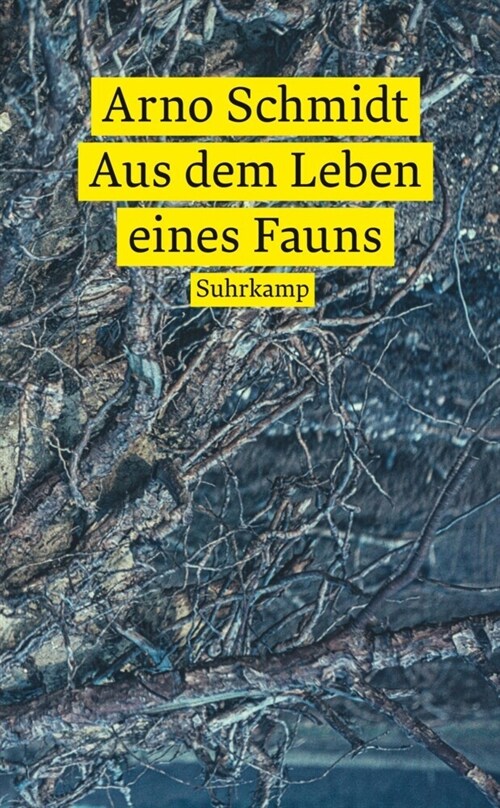 Aus dem Leben eines Fauns (Paperback)