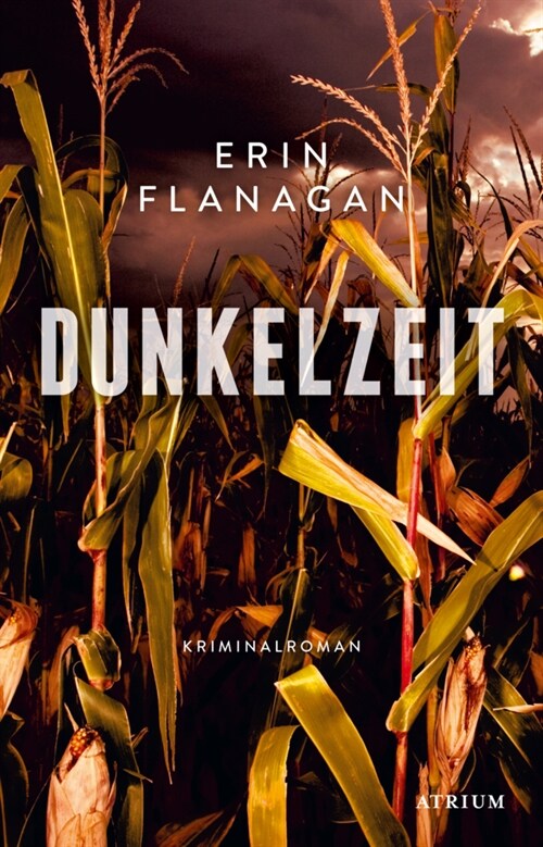 Dunkelzeit (Hardcover)