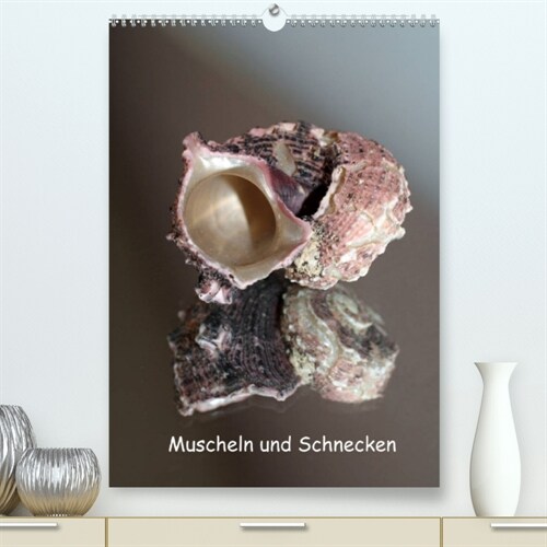 Muscheln und Schnecken (Premium, hochwertiger DIN A2 Wandkalender 2023, Kunstdruck in Hochglanz) (Calendar)