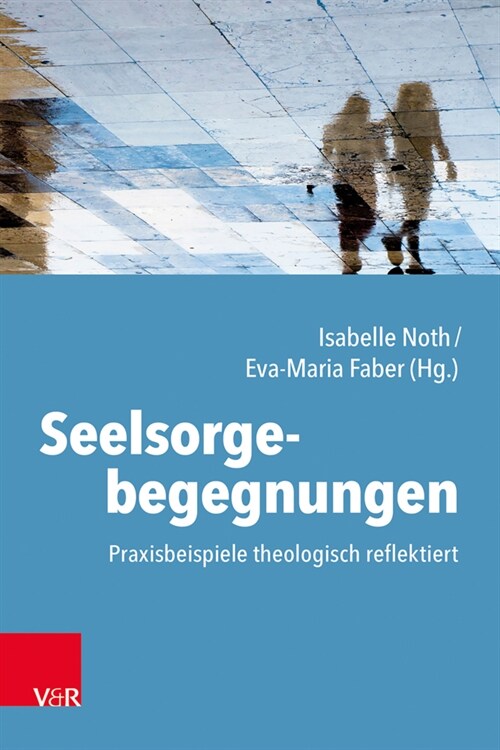 Seelsorgebegegnungen: Praxisbeispiele Theologisch Reflektiert (Paperback)