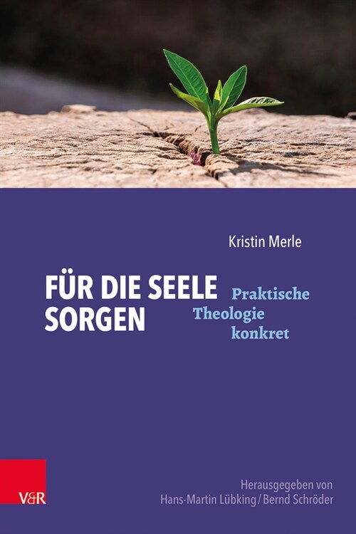 Fur die Seele sorgen (Paperback)