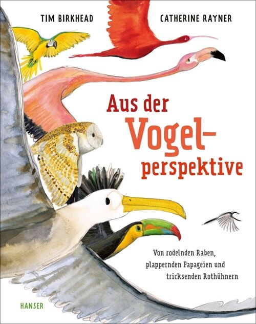 Aus der Vogelperspektive (Hardcover)