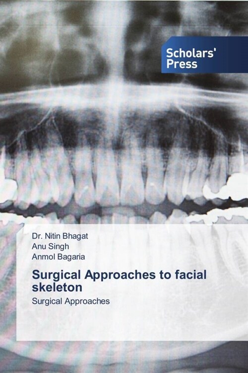 Surgical Approaches to facial skeleton (Paperback)