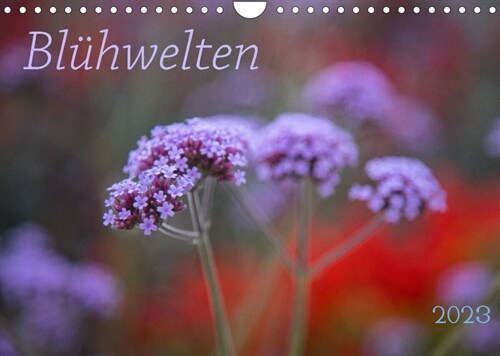 Bluhwelten (Wandkalender 2023 DIN A4 quer) (Calendar)