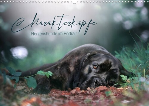 Charakterkopfe - Herzenshunde im Portrait (Wandkalender 2023 DIN A3 quer) (Calendar)