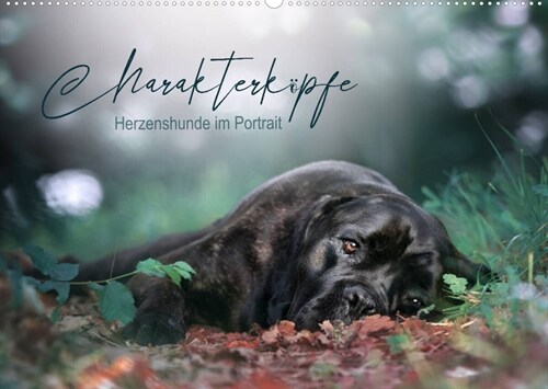 Charakterkopfe - Herzenshunde im Portrait (Wandkalender 2023 DIN A2 quer) (Calendar)