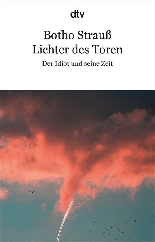 Lichter des Toren (Paperback)