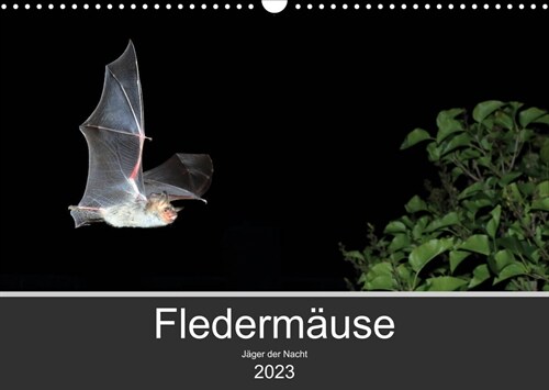 Fledermause - Jager der Nacht (Wandkalender 2023 DIN A3 quer) (Calendar)