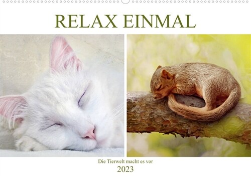 Relax einmal - Die Tierwelt macht es vor (Wandkalender 2023 DIN A2 quer) (Calendar)
