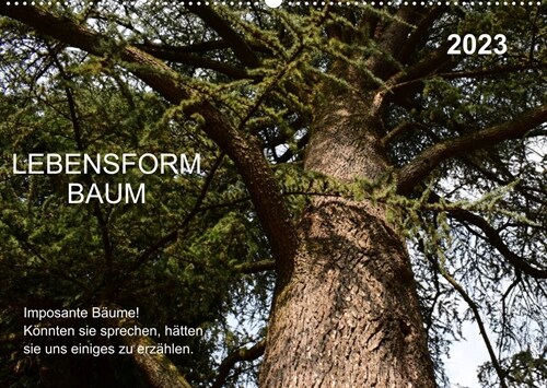 Lebensform Baum (Wandkalender 2023 DIN A2 quer) (Calendar)