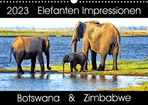 Elefanten Impressionen (Wandkalender 2023 DIN A3 quer) (Calendar)