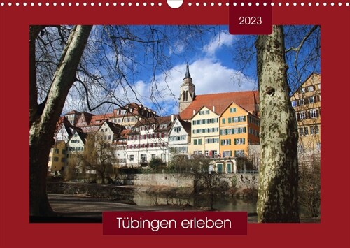 Tubingen erleben (Wandkalender 2023 DIN A3 quer) (Calendar)