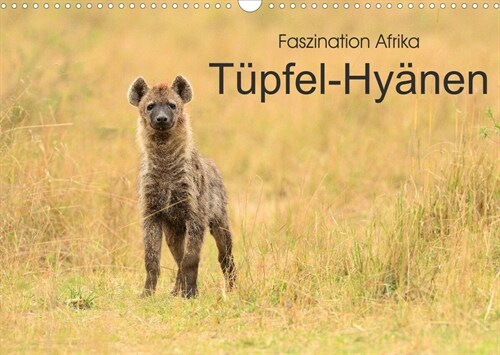 Faszination Afrika: Tupfel-Hyanen (Wandkalender 2023 DIN A3 quer) (Calendar)