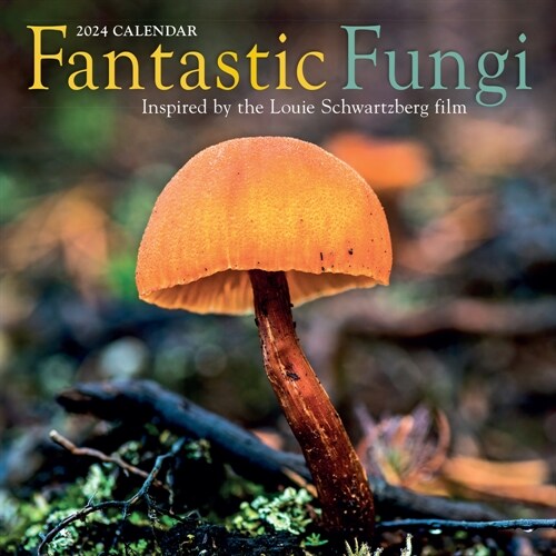 Fantastic Fungi Wall Calendar 2024: Inspired by the Louie Schwartzberg Film (Wall)