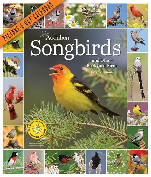 Audubon Songbirds and Other Backyard Birds Picture-A-Day Wall Calendar 2024: A Beautiful Bird Filled Way to Keep Track of 2024 (Wall)