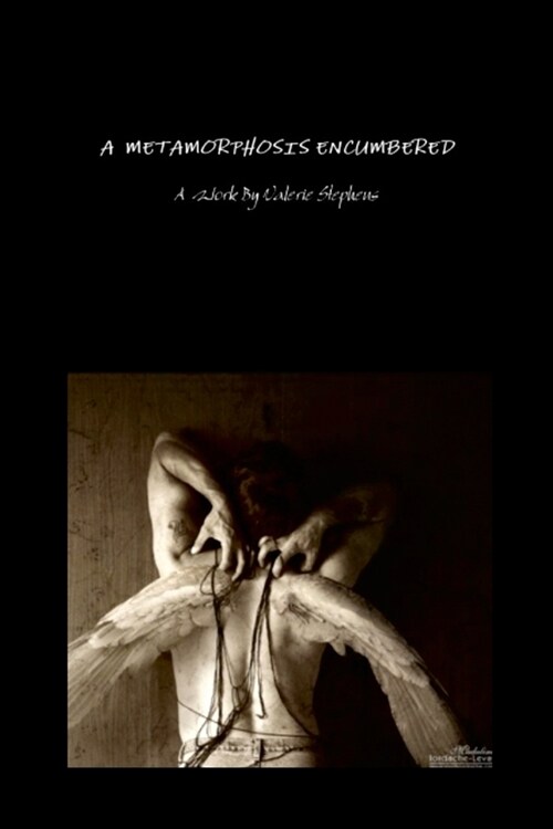 A Metamorphosis Encumbered: Meditations On The Human Experience (Paperback)