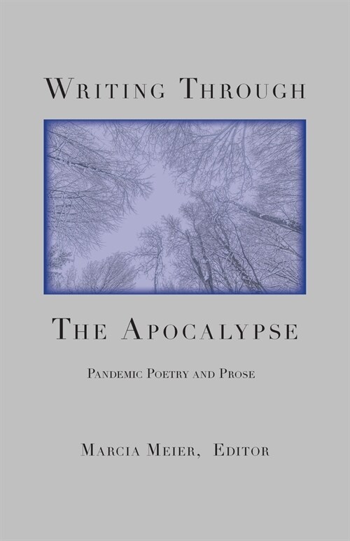 Writing Through the Apocalypse: Pandemic Poetry and Prose (Paperback)