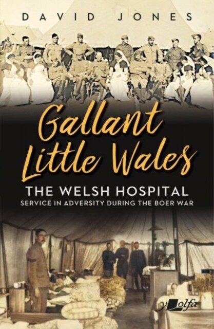 Gallant Little Wales (Paperback)