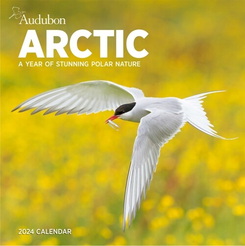Audubon Arctic Wall Calendar 2024: A Year of Stunning Polar Nature (Wall)