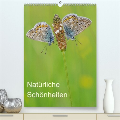 Insekten,Schonheiten der Natur (Premium, hochwertiger DIN A2 Wandkalender 2023, Kunstdruck in Hochglanz) (Calendar)