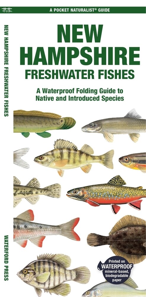 New Hampshire Freshwater Fishes: A Folding Guide to Native and Introduced Species (Paperback)