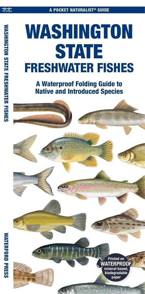 Washington State Freshwater Fishes: A Waterproof Folding Guide to Native and Introduced Species (Paperback)