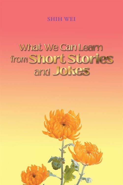 What We Can Learn From Short Stories And Jokes (Paperback)