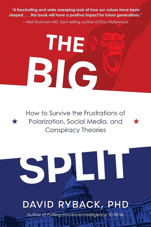 The Big Split (Paperback)