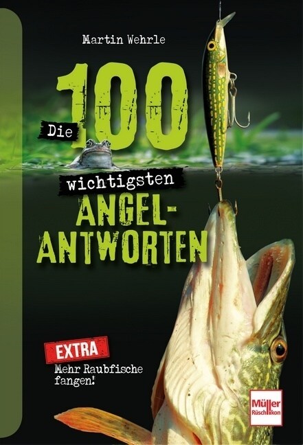 Die 100 wichtigsten Angel-Antworten (Paperback)