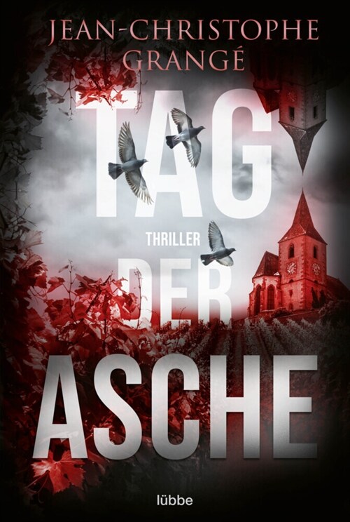 Tag der Asche (Paperback)