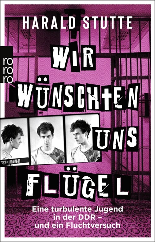 Wir wunschten uns Flugel (Paperback)