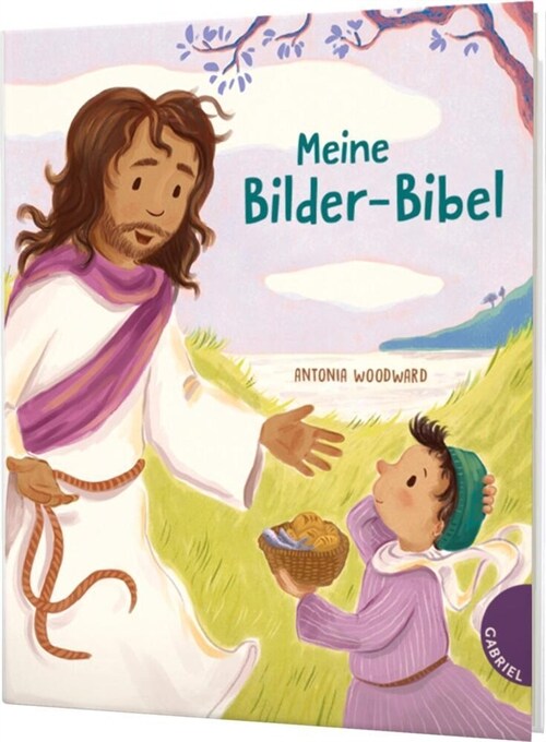 Meine Bilder-Bibel (Hardcover)