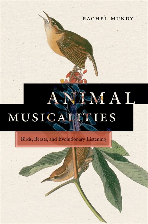 Animal Musicalities: Birds, Beasts, and Evolutionary Listening (Paperback)