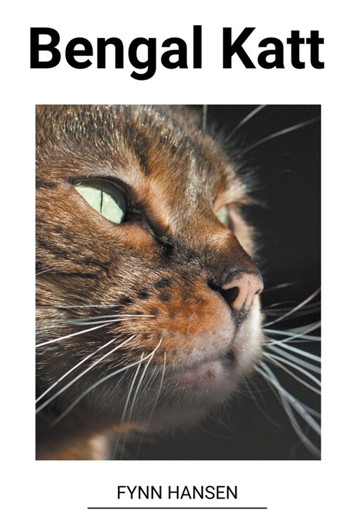 Bengal Katt (Paperback)