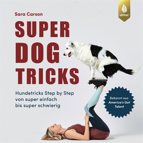 Super Dog Tricks (Paperback)