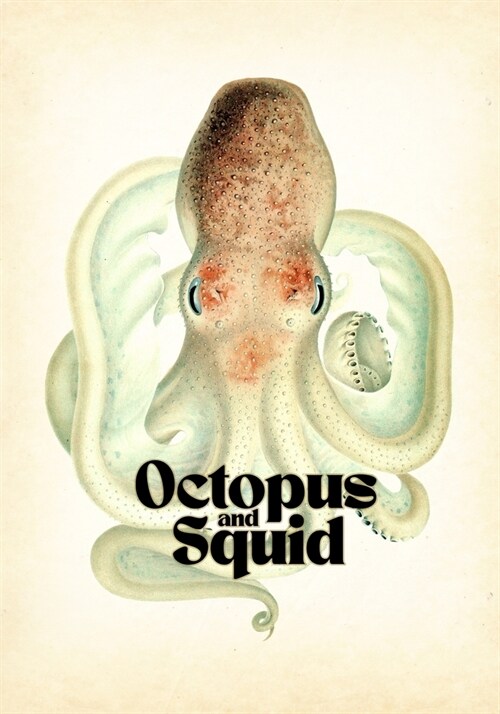 Octopus & Squid: Drawing and Tattoo Reference (Paperback)