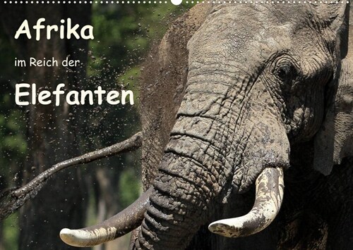 Afrika - im Reich der Elefanten (Wandkalender 2023 DIN A2 quer) (Calendar)