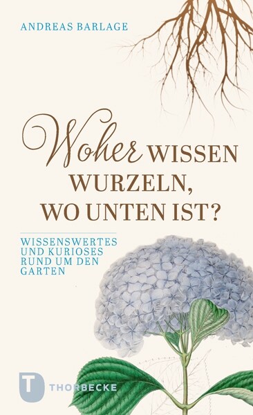 Woher wissen Wurzeln, wo unten ist (Paperback)