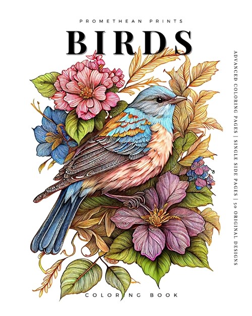 Birds (Coloring Book) (Paperback)