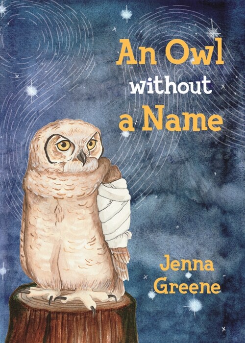 An Owl Without a Name (Paperback)