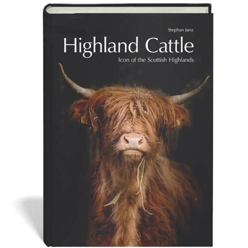 Highland Cattle (Hardcover)